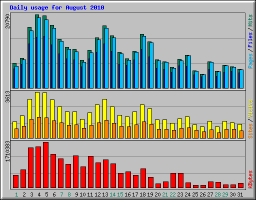 Daily usage for August 2010