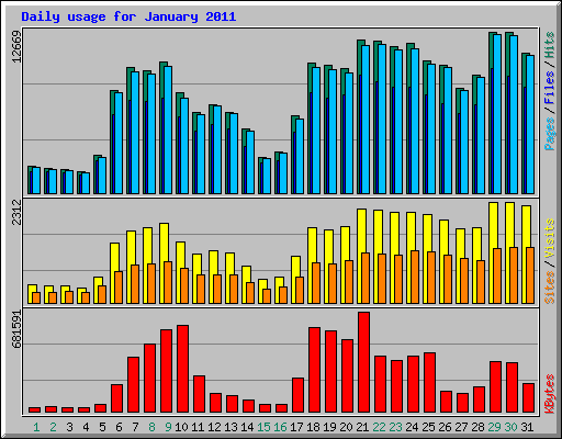 Daily usage for January 2011